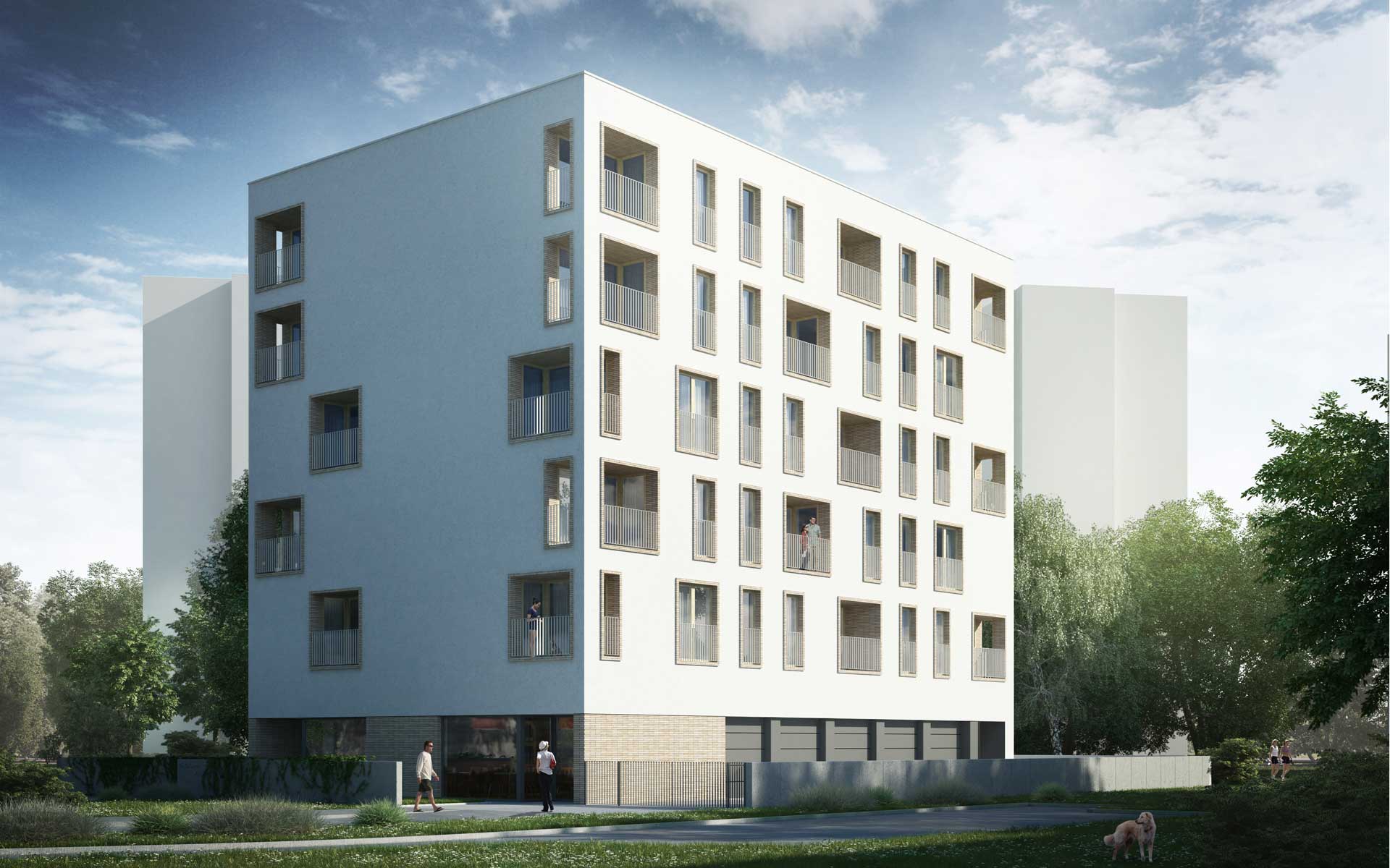 widok-C2